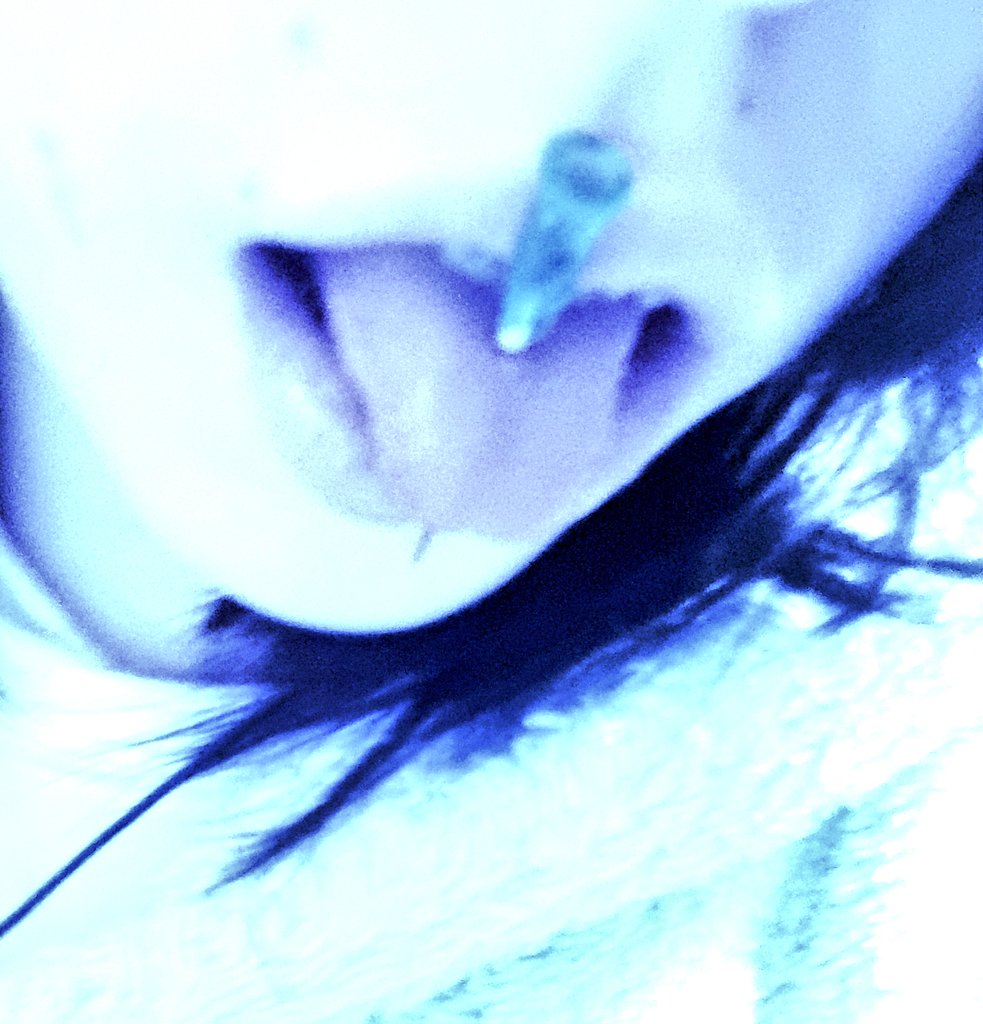 mizuirochii's tweet photo. Cannula ( ⸝⸝´꒳`⸝⸝)♡

fake needle fake everything !

#menhera #yamikawaii 🪽 https://t.co/DabhZxppK1