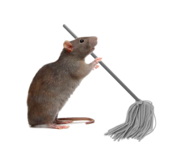 Vera Volta 🧪🐀 tweet media