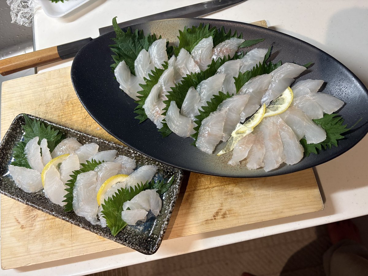 Hu_fishing's tweet photo. そこそこ大きいのが
ｷﾀーーーーー(ﾟ∀ﾟ)ーーーーー!!
#キジハタ
#カサゴ
#グラスミノーカマスセレクト
#シーバスタックル https://t.co/gHcKhNyKkO