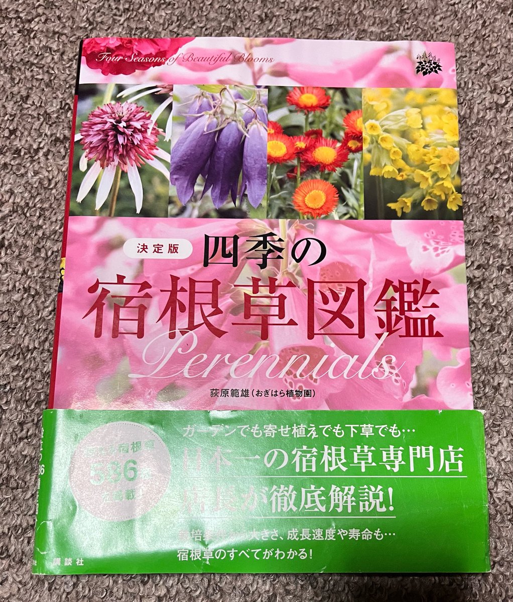 8cickkV8rBuHMAw's tweet photo. 予定があって途中から見ました。
自分の推し植物本のところ含めて
アーカイブ見直します。
とりあえず、僕の紹介した本の写真
貼っておきます。
#推し植物本
#特化Vメモリー https://t.co/tQpSVxIc6Q