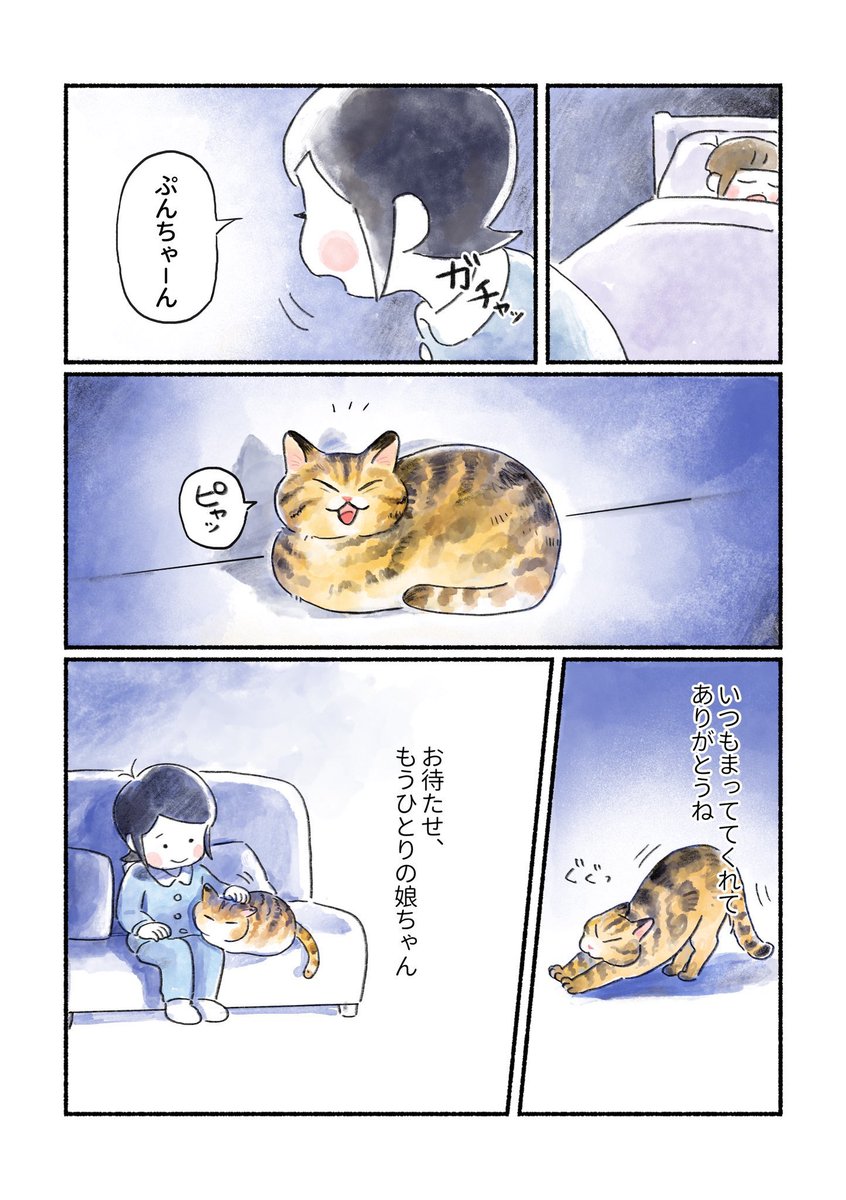 まとめ⑪
見て下さりありがとうございます
これまでのぷんちゃんのエピソードまとめでした🐱 