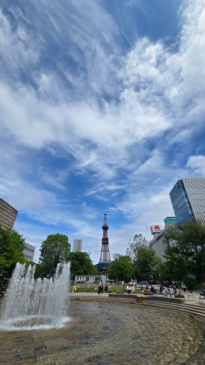 manyu63's tweet photo. 札幌をたのしむ
はじめてライラックをみたよ
ライラックだよね？(笑) https://t.co/bANFlejdeM