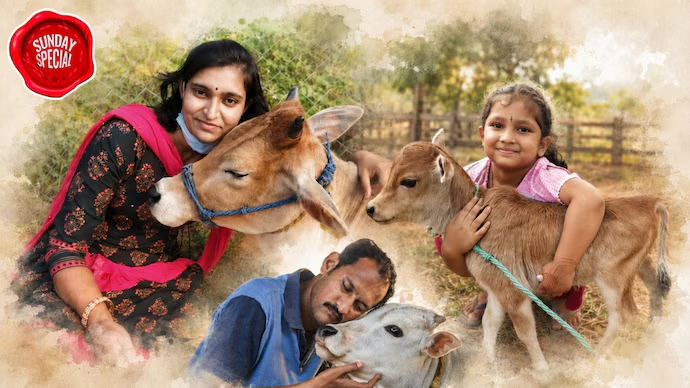 IndiaToday's tweet photo. 𝐂𝐨𝐰𝐬 𝐫𝐞𝐩𝐥𝐚𝐜𝐞𝐝 𝐛𝐲 𝐒𝐜𝐨𝐫𝐩𝐢𝐨𝐬, 𝐈𝐧𝐝𝐢𝐚𝐧𝐬 𝐧𝐨𝐰 𝐩𝐚𝐲𝐢𝐧𝐠 𝐭𝐡𝐨𝐮𝐬𝐚𝐧𝐝𝐬 𝐟𝐨𝐫 𝐜𝐨𝐰-𝐜𝐮𝐝𝐝𝐥𝐢𝐧𝐠

For generations, Indians hugged, groomed and cared for cows without giving it a name. Now, tiny cows, curated sessions and wellness packages worth thousands of rupees, are powering a cow-cuddling boom in India. Cow farms to luxury retreats to spiritual centres, #cowcuddling is everywhere.

Read more: https://t.co/BWii4CX3tY
✍️@SushimMukul