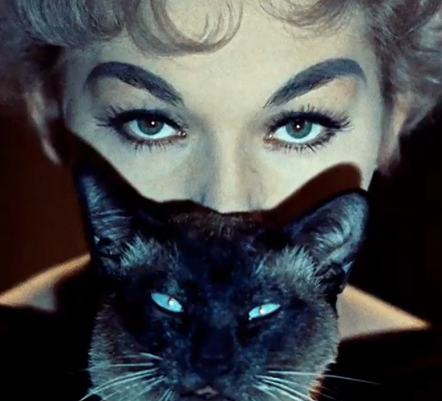 OfLanguageGurl's tweet photo. @moonfrom5to7 Quite the eyebrows.. . https://t.co/ns2XvwE8Rc