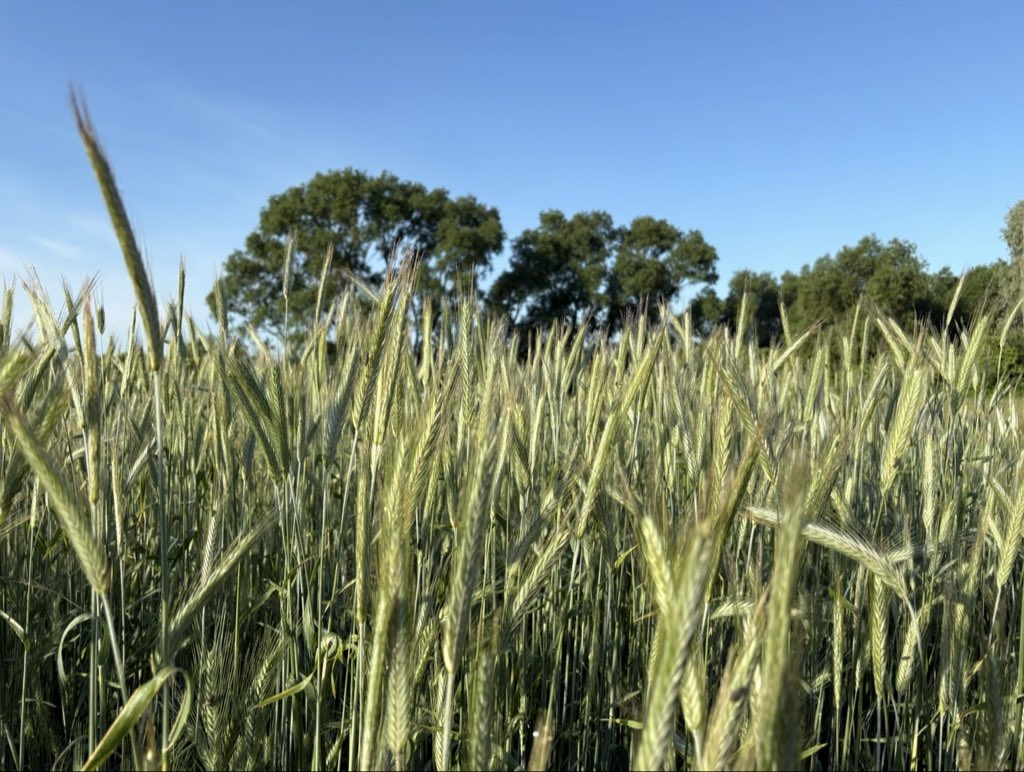 ProstyR's tweet photo. Jak na razie nie jest źle. https://t.co/u6KyqubS04