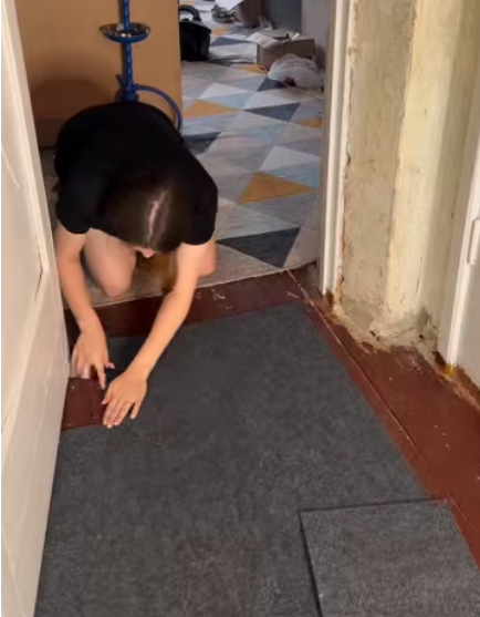 floorsellers's tweet photo. Easy Floor Upgrade! | Peel &amp; Stick Carpet Tiles
#flooring #tile @floorsellers 
https://t.co/K6BDOjGQHm https://t.co/3MB6GzJ8ta