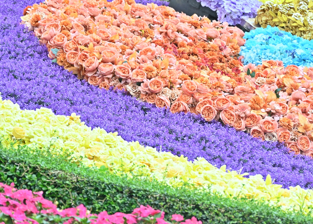 flowerTDR_bot's tweet photo. 【HKDL】20周年イベント最終日の香港ディズニーランド。エントランスで出迎えてくれるのは20周年の帽子をかぶったフローラルダッフィーです。アーティフィシャルフラワーや本物のインパチェンスなどで彩ります。

 舞浜植物図鑑 https://t.co/iZrcknYBYW https://t.co/zIlr886BJn