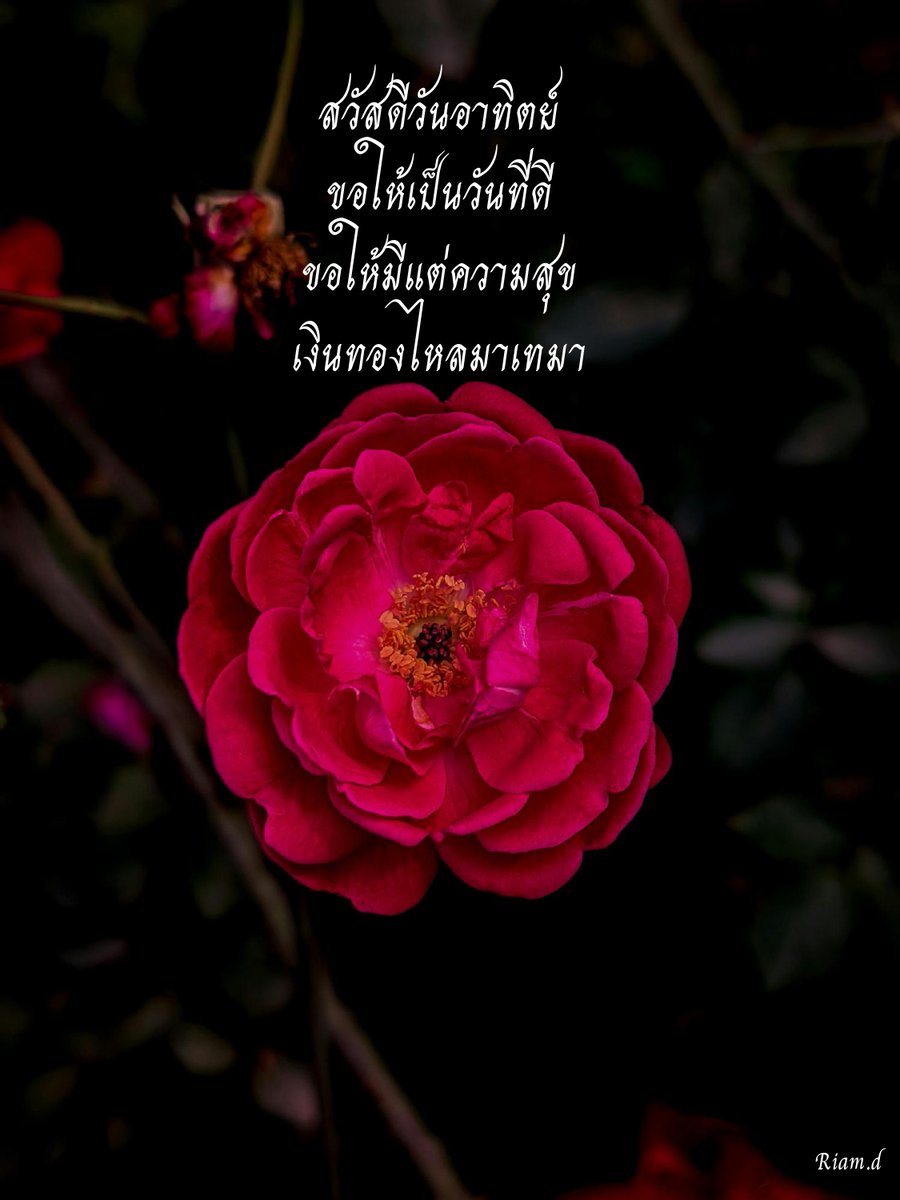 riam_d's tweet photo. ถึงคุณ… ในตอนเช้า
คุณมีค่า
คุณเก่งในแบบของคุณ
คุณมีความสามารถที่จะผ่านทุกอย่างไปได้
คุณในวันนี้เติบโตขึ้นจากคุณในวันที่ผ่านมา

สูดหายใจเข้าออกลึกๆ
ยิ้มให้กับตัวเอง
คิดถึงสามคำนี้
“ความสุข”
“ภูมิใจ”
“วันที่ดี”

แล้ววันนี้คุณจะมีความสุข...
รู้สึกภูมิใจในตัวเอง และมีวันที่ดี..!!
😊 https://t.co/B1bL17PKqU
