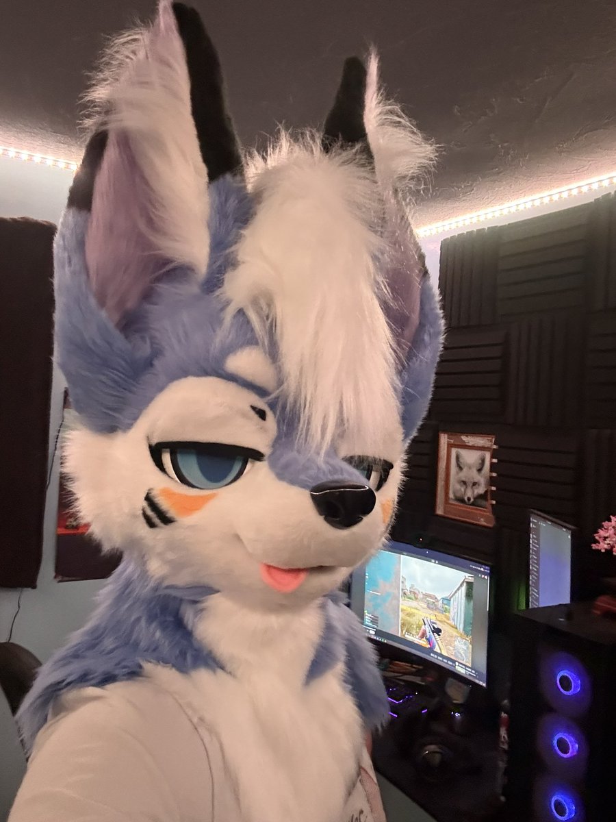 leo_bean_'s tweet photo. New creature just dropped!!! :3c
Thank you so much to @GentleFurStudio for doing such an amazing job! https://t.co/N1hfj0SlTm