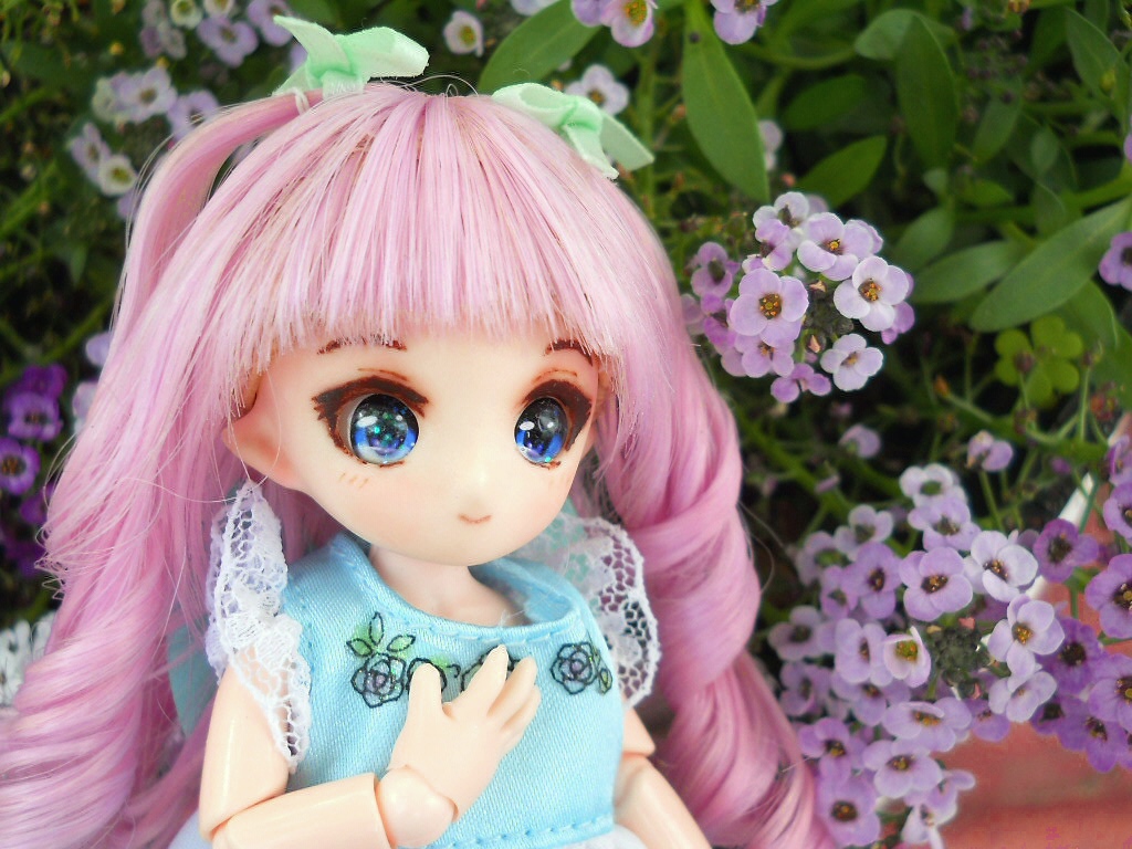 soranoaoya's tweet photo. #うちのこに癒され24時間 6/7
本日、曇り。
イオンで白米・見切り品を半額で購入。
5kg、1980円で買えた。
白米は精米後、1カ月以内程度で
消費されるのが望ましいとされる。(酸化等のため)
値段の高さに、購入をあきらめる人がいる。
適正な価格になりますように。 https://t.co/A6h2xFSJoW