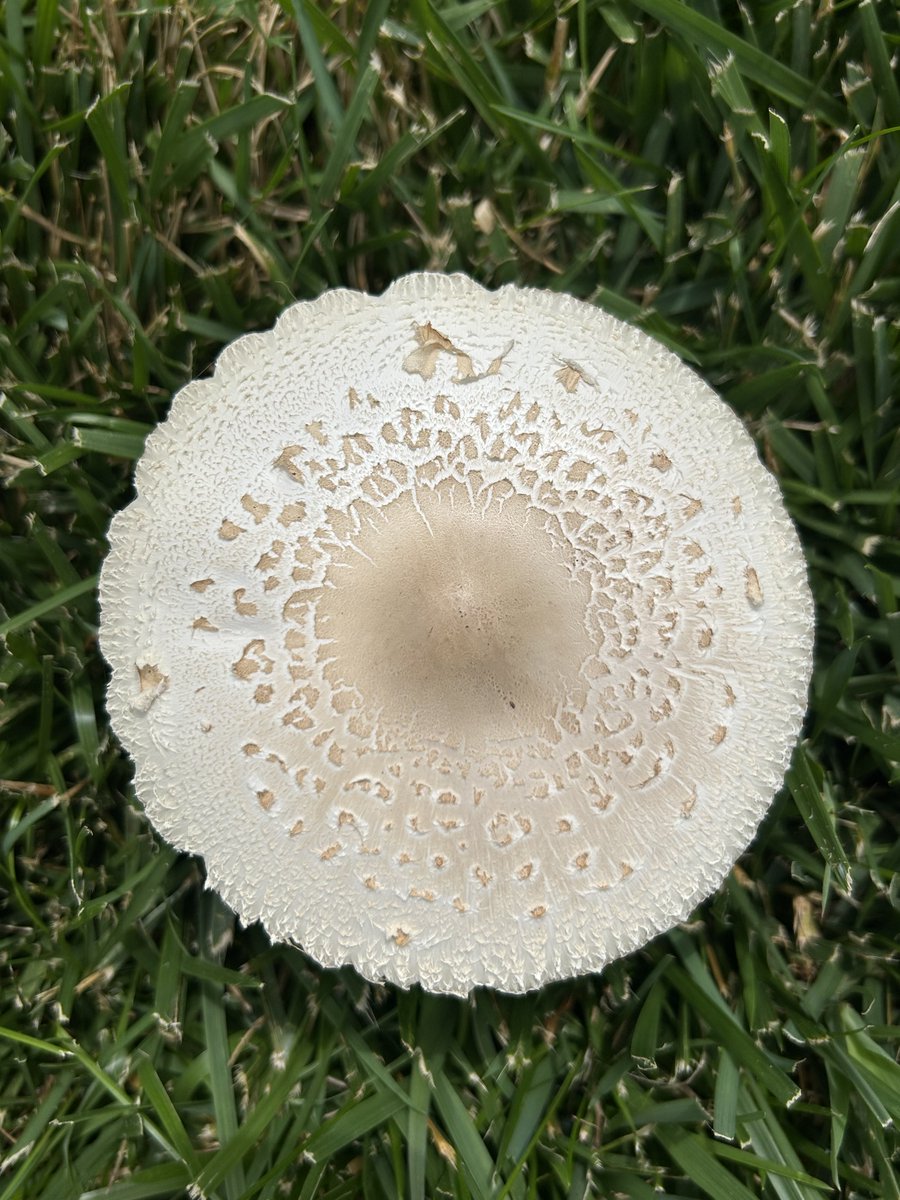 ChampBailey03's tweet photo. Find beauty every day.💚 https://t.co/fkLYz2xi7Z