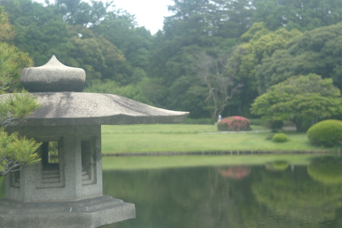 kikumarupics's tweet photo. 空気感が好きで、そのレンズを通して見たい景色がある。 https://t.co/dNKJqzWcxo