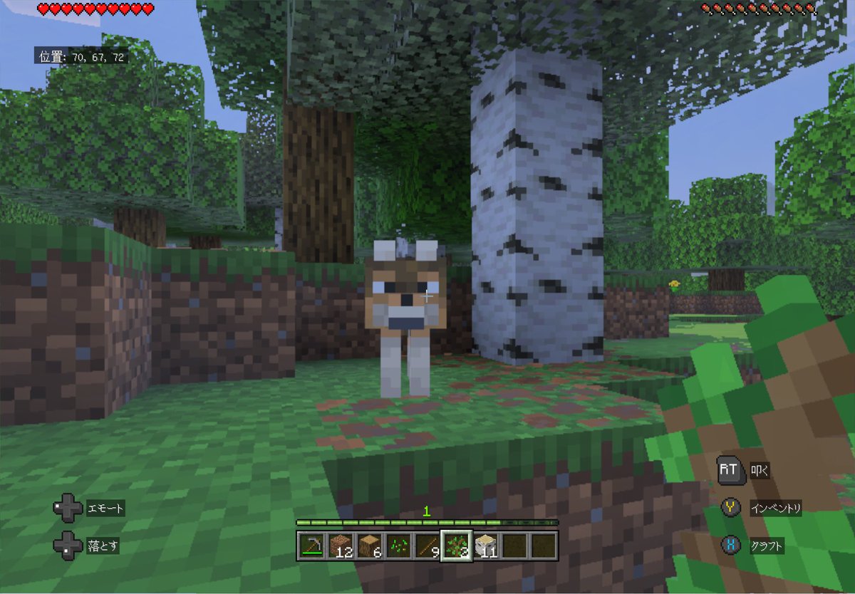 snicoedluv's tweet photo. マインクラフトを始めて一週間🌳🪵
迷子になってばっかだけど楽しい( ´∀｀) https://t.co/bhgBBu8bxP