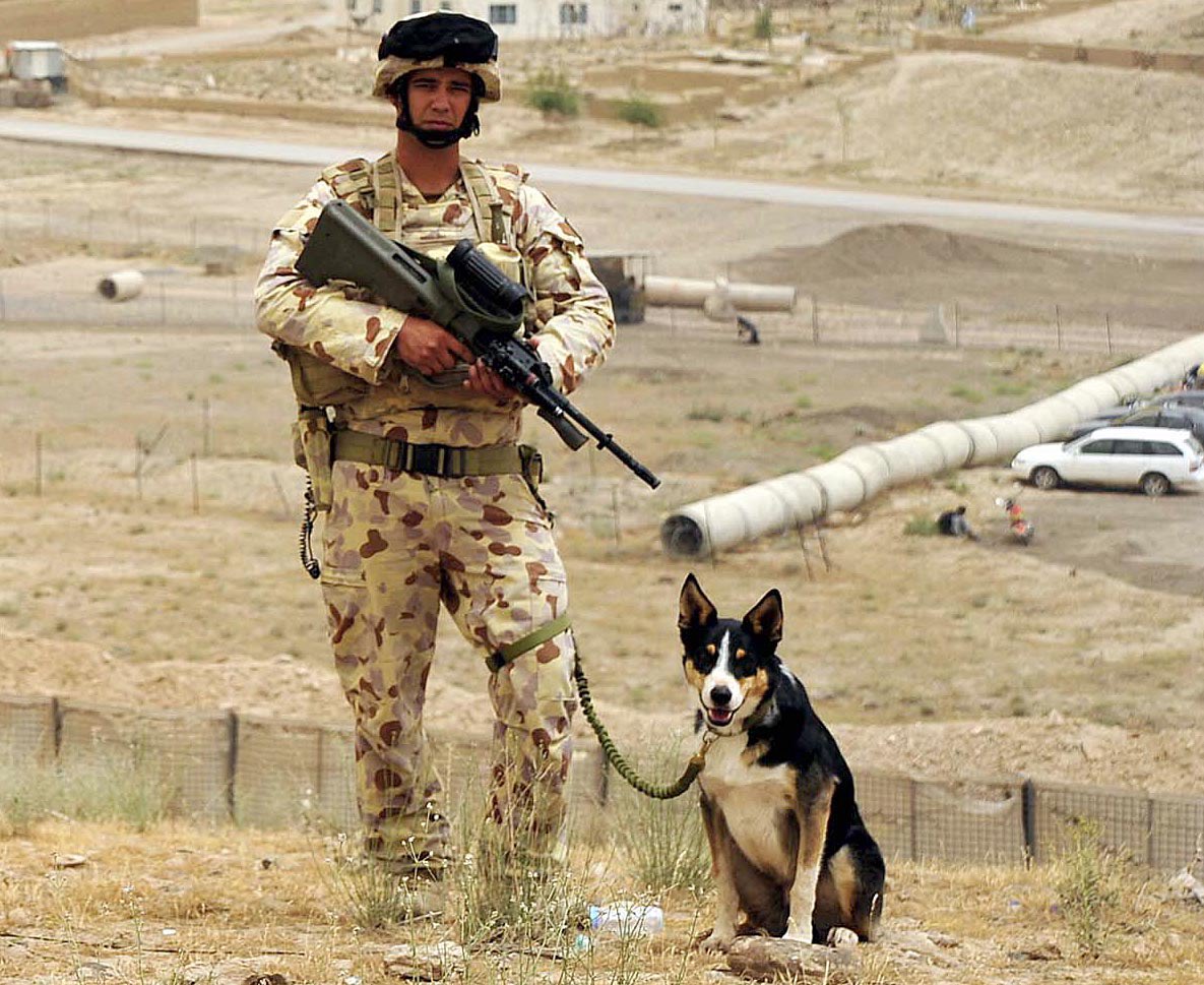 MmarianneJoseph's tweet photo. Remembering Australian soldier Darren Smith who died aged 26 when an IED detonated, Afghanistan, 7 June 2010.

Darren’s family said, “he was the sort of man who always put others first, and did his best for them.”

With working dog Herbie.

Thank you Darren. Lest we forget. 🇦🇺 https://t.co/cEOsSaCWbS
