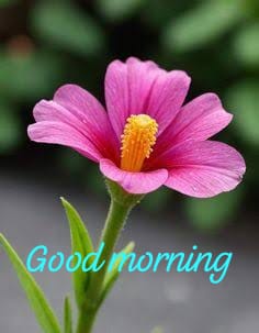 kk_ashokan's tweet photo. @VILLAGEEX https://t.co/DCFybXJeDz