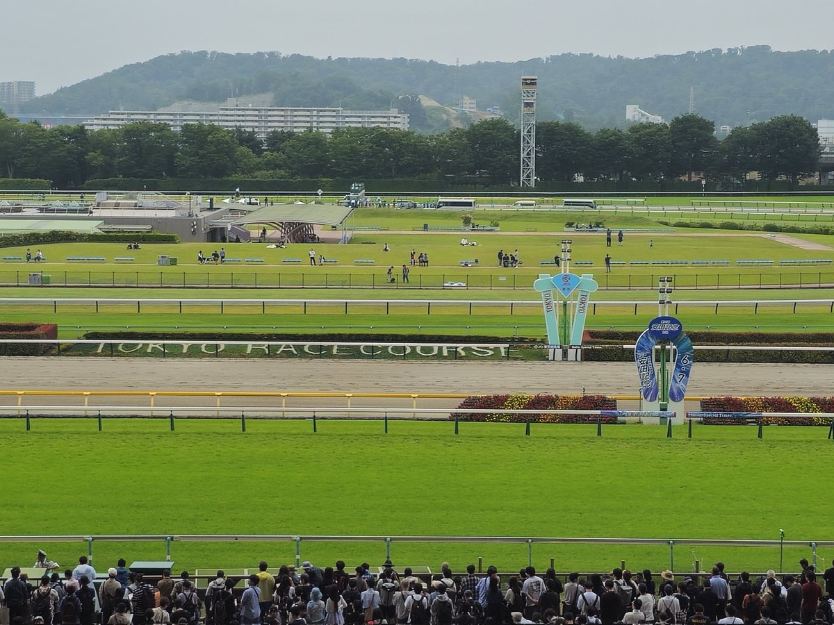 KODANGLE's tweet photo. 本日の景色
小雨降ってるけど4階だから濡れないしゴール番前だし最高 https://t.co/zvvTJ6v7y3