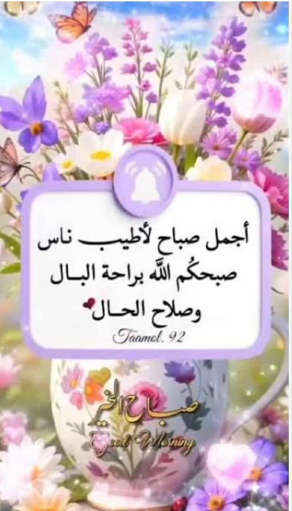 AmerJalil12's tweet photo. @rafif_ali12 https://t.co/mjB2c5bx13