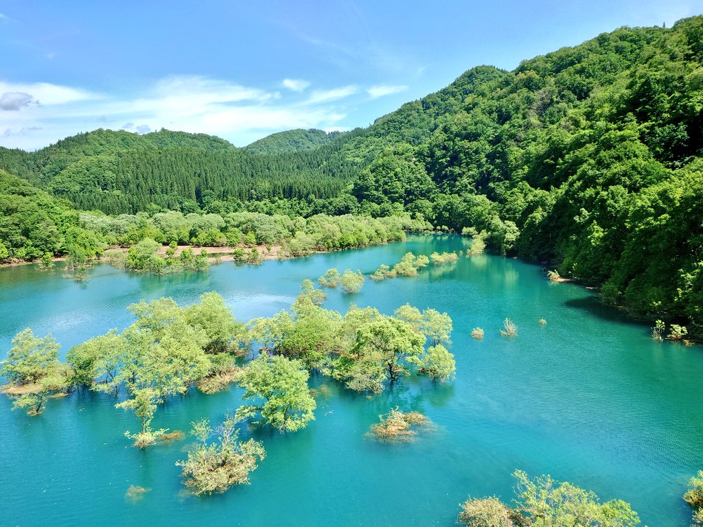 samanibe's tweet photo. 秋扇湖の水没林を見に来ました。
カヌーやSAPをしている人もいますね。
すっかり水没しているのは、その後顔を出す木なのか。水草ではなさそうだけど。 https://t.co/bEOZUr2dYK