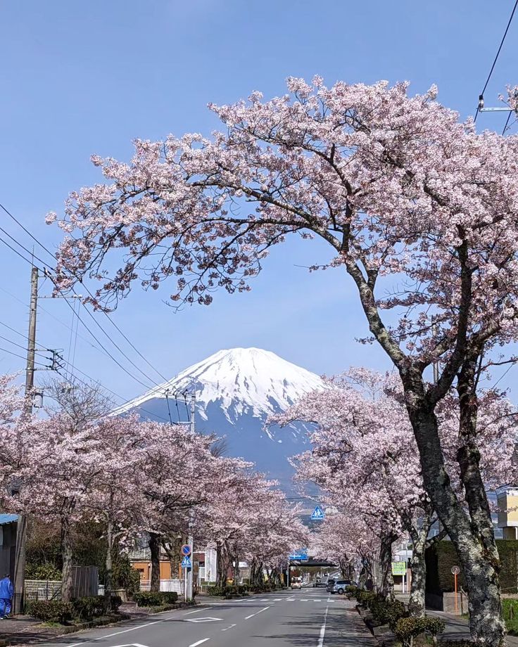 96317Abbas's tweet photo. Mount Fuji, Japan 🇯🇵🌸 https://t.co/SIzrDHjTGr