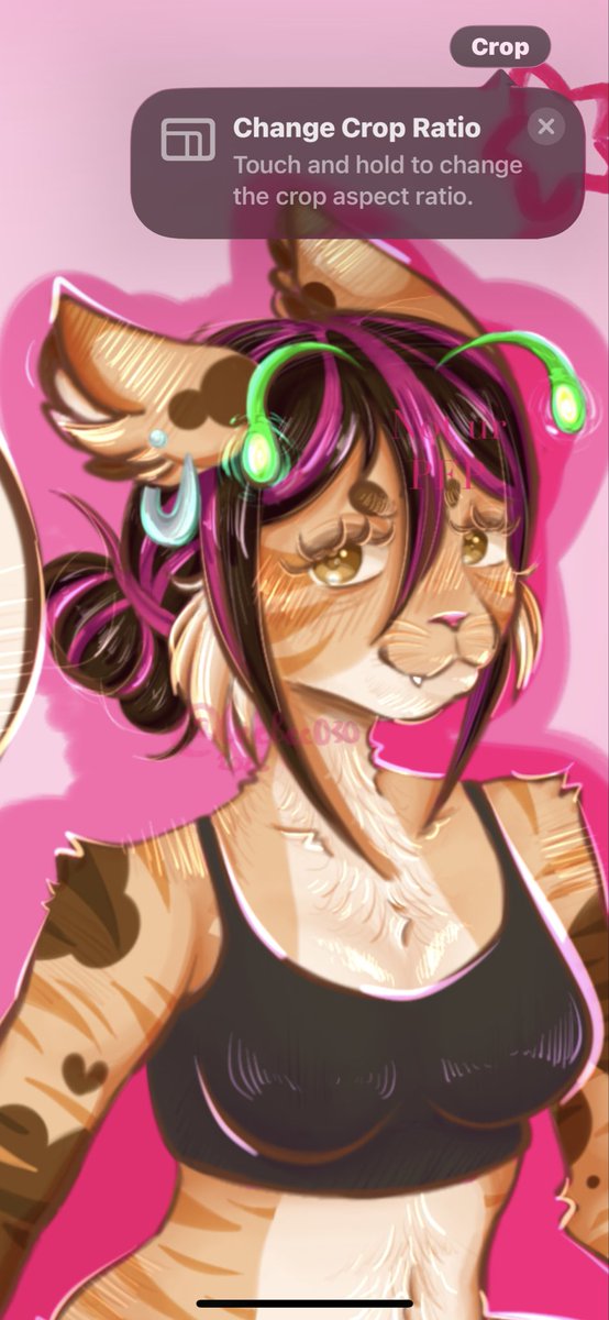 LeeBee030's tweet photo. 1st post on here &amp; it’s a drawing of my sona Nixie! Honestly i’m not sure how things work on here fr. 
#art #furryart https://t.co/mCMr5iltmO