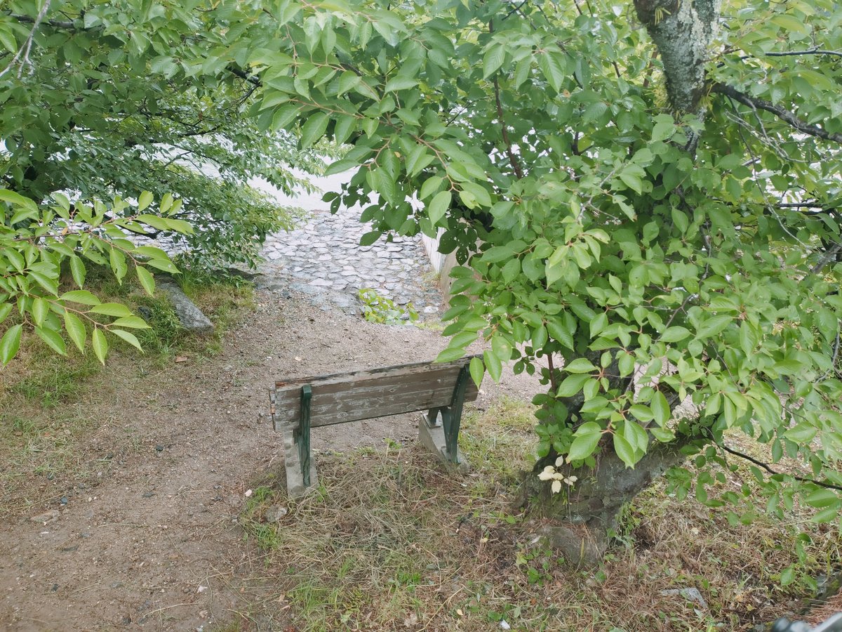 toshyani's tweet photo. 宇治は雨ですねぇ
「やっぱりお尻濡れちゃったじゃないの」 https://t.co/UfemBKTMQ5