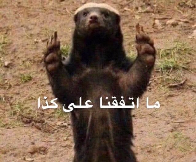 cill5l's tweet photo. @354155 لا دقيقققه ! ماتفقنا https://t.co/wsN0MFLNcz