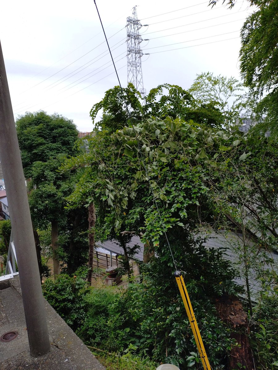 wako_FD1's tweet photo. 【訓練】和光市白子３－４０周辺　寺の上２（No.5）異常ありません https://t.co/CXfmCqg0Gu