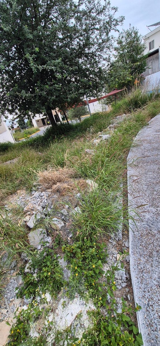 aureliofm's tweet photo. @mtygob @AdrianDeLaGarza su apoyo para retirar el escombre que los trabajadores dejaron hace más de 1 mes, Cumbres Malaga Col. Cumbres del Sol https://t.co/4aMxwZBdDO
