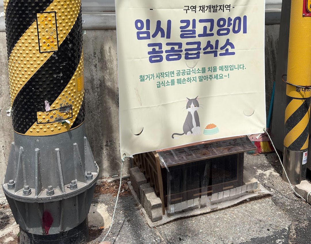 K1E1T1O1's tweet photo. 애기들한테 소문남 https://t.co/AnSzlXtpOu