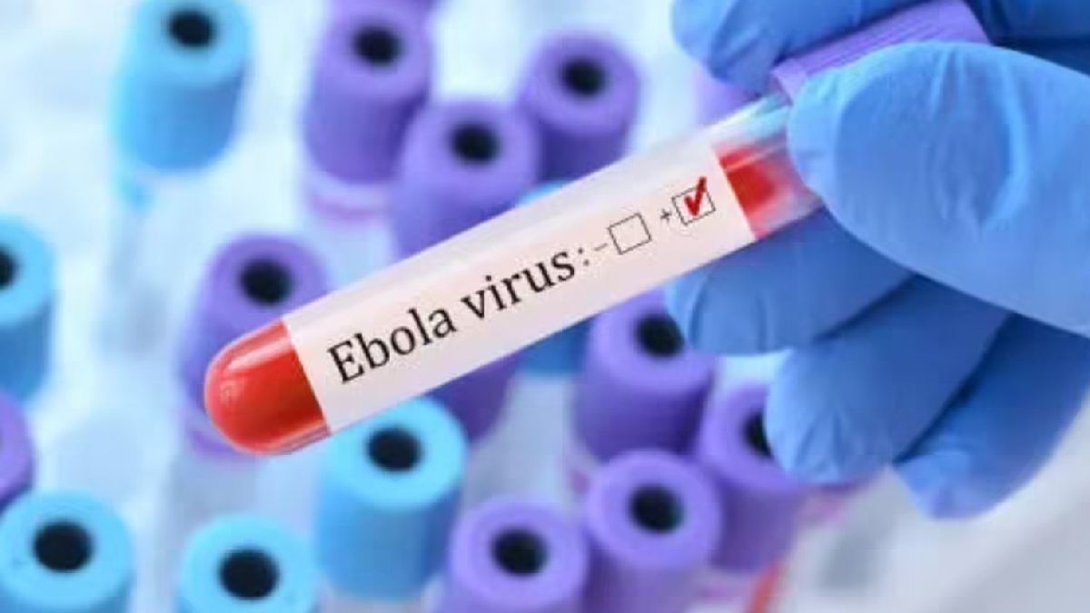 IndiaMub's tweet photo. Ebola Advisory India: Travel Guidance And Public Health Alerts - Oneindia News: India*s Health Ministry issued a fresh advisory on 2 June amid a global Ebola virus scare, asking travellers from affected nations to https://t.co/9sXRtpfFTI https://t.co/f5hiODfHeU