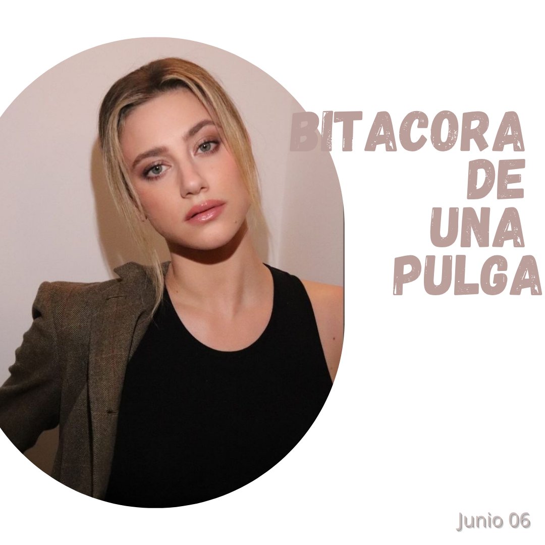 Serendipiafkk's tweet photo. © 𝗐𝖾𝖻𝘀𝗶𝘁𝗲 ── 
https://𝕊𝖾𝗋𝖾𝗇𝖽𝗂𝗉𝗂𝖺𝖿𝗄𝗄/blog
Bitácora De Una Pulga 🌙- Eventos
El dia de hoy fui a ser gorda fan de mi amigo Oli... #TDELACOUNTRYFAIR https://t.co/3KLbvHuyDu