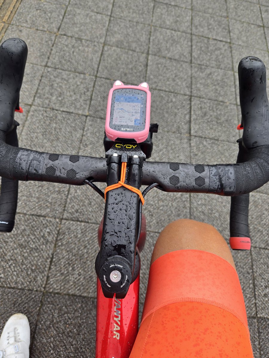 Edmil_sono's tweet photo. えー降るの早くないですか？
家出てサイコンスタートさせる前に帰宅 https://t.co/UFQeXchPH1