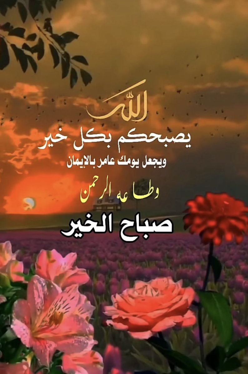 zhoora_kw's tweet photo. اللهم صل علي محمد وآل محمد 

ربنا لا تؤخذنا إن نسينا أو أخطأنا
ربنا ولا تحمل علينا إصرا
كما حملته على الذين من قبلنا
ربنا ولا تحملنا ما لا طاقة لنا به
وأعف عنا واغفر لنا وارحمنا
انت مولانا فانصرنا على القوم الطالمين ..
يارب العالمين .. https://t.co/wZhvNzZbp8