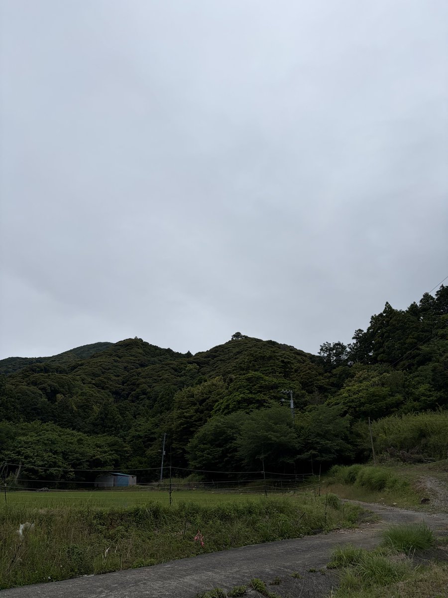 ndpi's tweet photo. 先週のマイクロン株で、ここの原生林1万坪が買えるくらいの損失が生じたという現実を受け止めながら散歩をしている🚶 https://t.co/sW2NCWMA8M