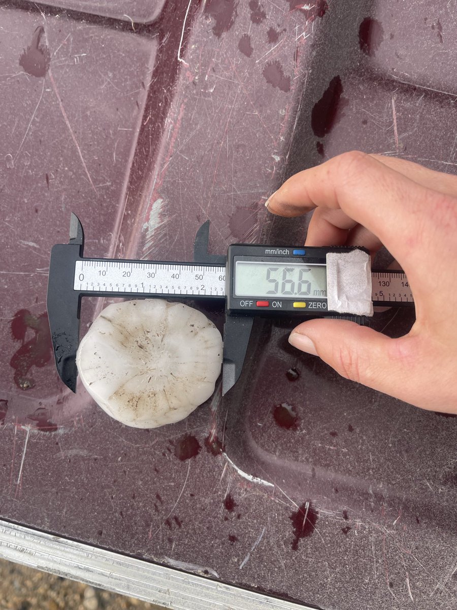 LostInSk's tweet photo. Around 2”hail in this tornado warned storm near Lampman #skstorm @westernuNHP https://t.co/WZBCaGlPQ8