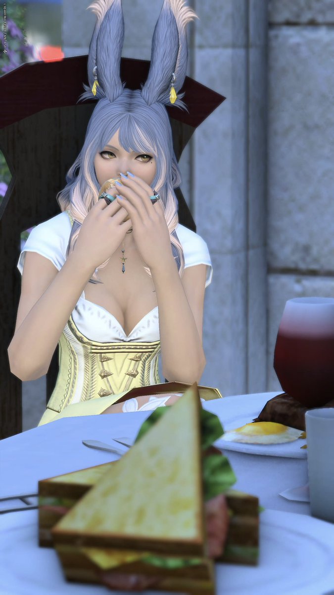 monakobicky's tweet photo. 朝ごパン🍞🥐
#FF14 #うさこ #ヴィェラ https://t.co/HnDm85T9n1
