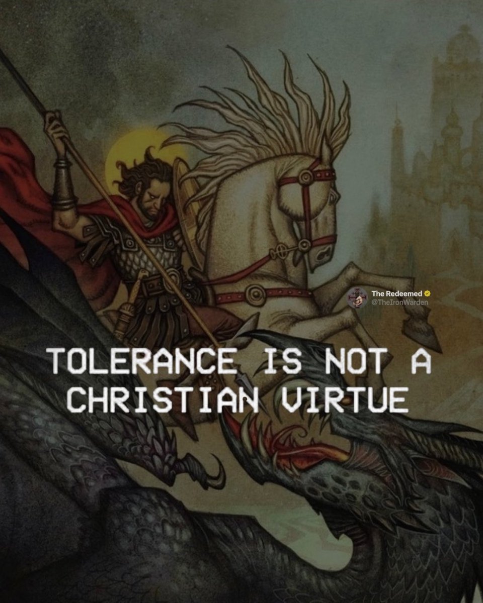TheIronWarden's tweet photo. ⛨ Tolerance Is Not A Christian Virtue ⛨ https://t.co/01uaa3UhZw
