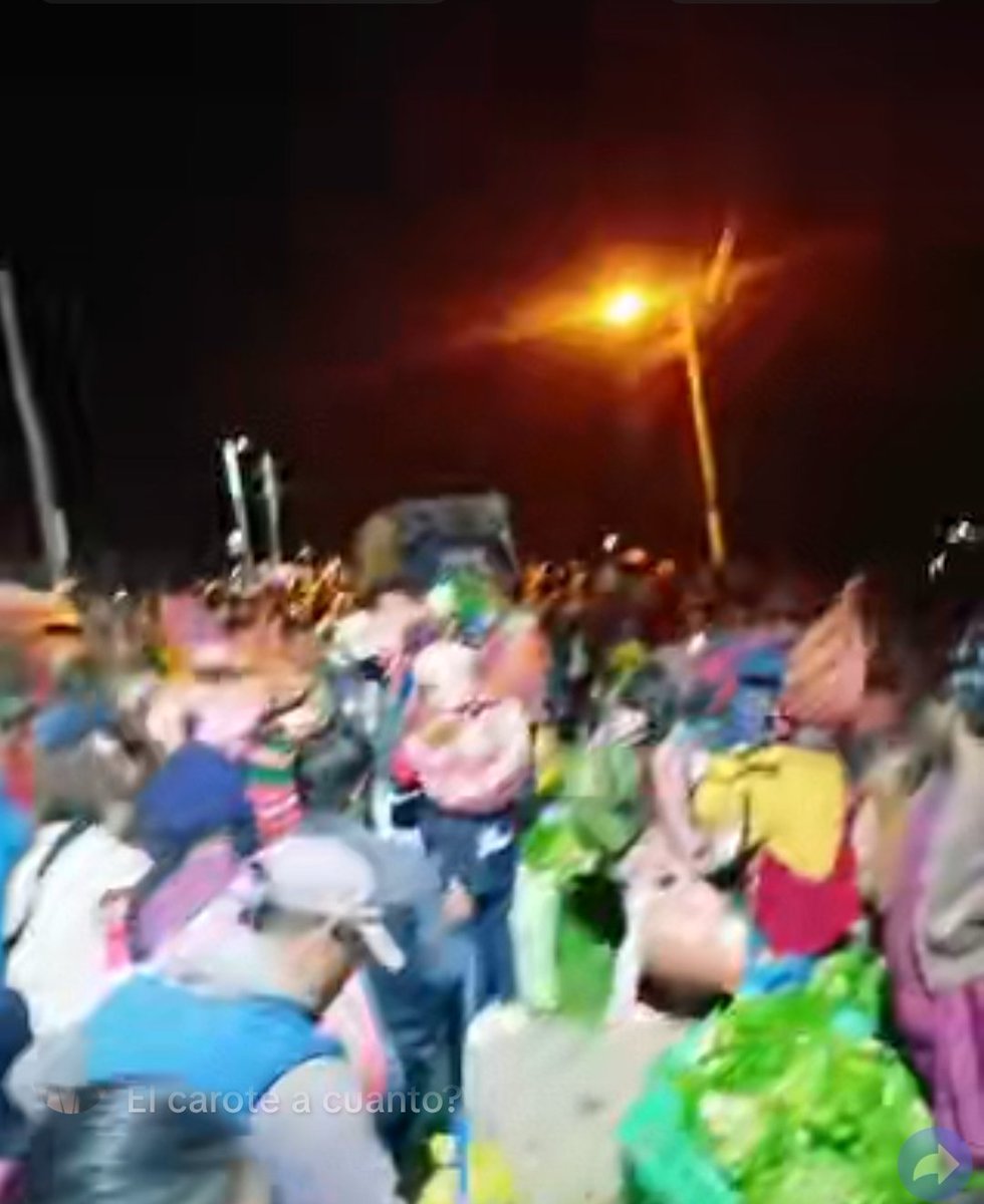 ELEchoqueM's tweet photo. 🔴#Ahora|Productores de #Avircato|#Mecapaca|#LaPaz|#Bolivia, intensifican la venta de verduras al por mayor y menor. La noche de este sábado se desarrolla la última feria nocturna, tras el desbloqueo registrado el jueves. https://t.co/DVDTid0tQJ