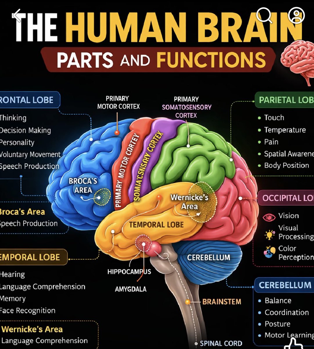 AzHawker's tweet photo. Ok I figured it out.  The brain is a wonderful thing unless you have no BLUE.  Is that why the Dems choose blue for their party?  Wish full thinking? https://t.co/f6XTliorMH