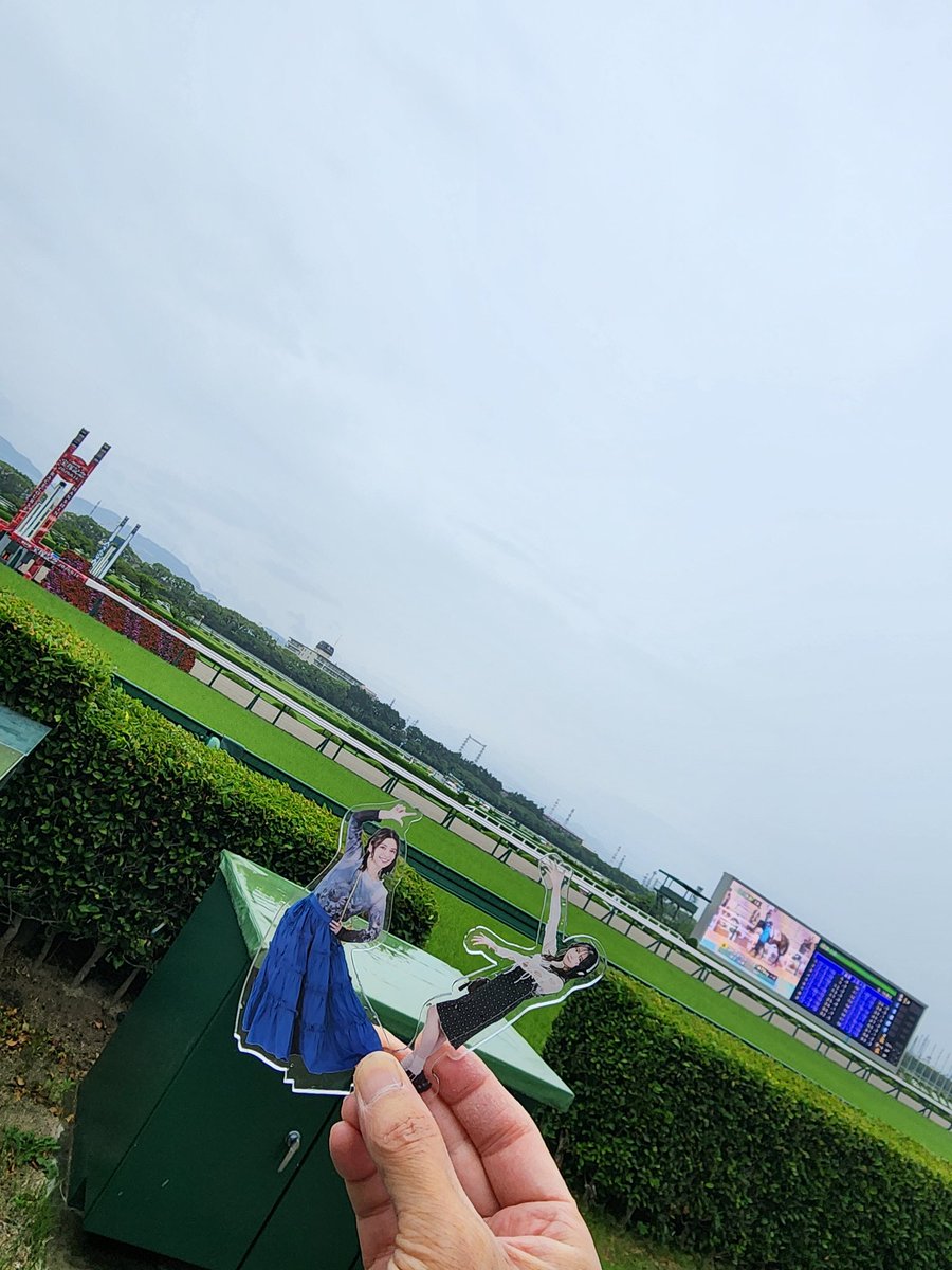 hiro2_ss's tweet photo. そして今日はマイホーム阪神競馬場！

生憎の天気は雨☔☀
その影響でのどかな感じ😂

Welcomeチャンス!はE賞当選🎯
アクキーでチョイスして出たのはメイショウタバル🐴

駆け付け乾杯ではやっぱ関西人でたこ焼き＆お好み焼き😊🍻

楽しんでくー！

#Lynn競馬部
#GLynn
#りん競馬in虎ノ門
#だべりば https://t.co/1Ma7hOeNx5