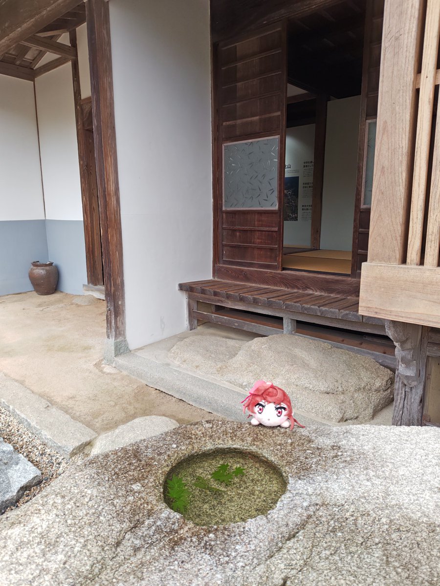 4rakami's tweet photo. ようやく伊東玄朴旧宅に入ることが出来ました。

そして、天気も雨が上がって青空も見えてきました。 https://t.co/dihVwGUxwz