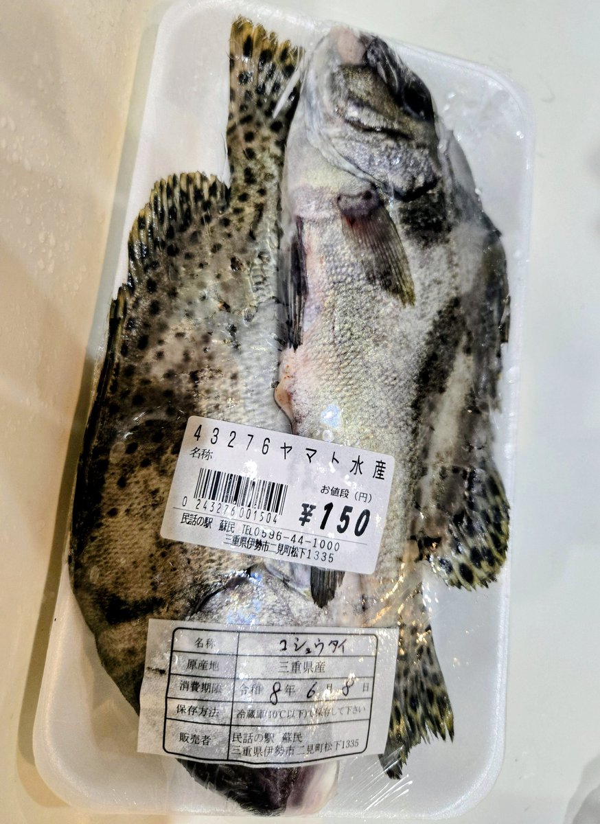 0osho02's tweet photo. ｢ワシら小遣い稼ぎやき☺｣

朝獲れの魚を並べている
漁師さんとお話し。

マゴチ(50cm)がワンコイン、
コショウダイ2尾が150円。

9時のOpenと同時に出撃すると、
いろんなお宝に出会える🙃

#伊勢
#民話の駅蘇民 https://t.co/YPmkfka9J8