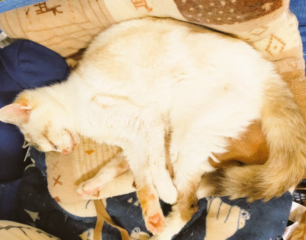 おはよー😴😴😴