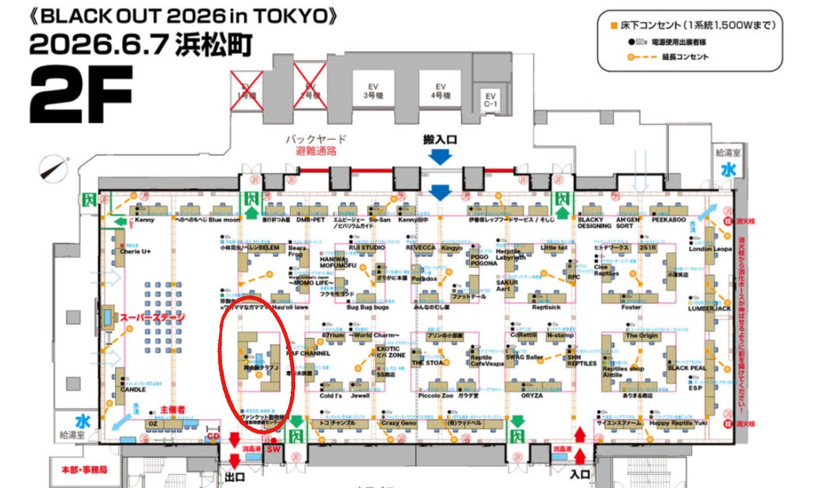 爬虫類クラブJ横須賀店 【公式】 【爬虫類倶楽部】 【ハチクラ】 tweet media