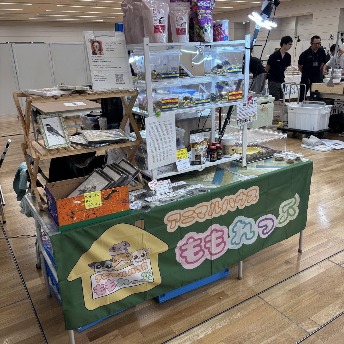 MoMoRep1's tweet photo. ブラックアウト浜松町館

設営完了してます🫡

フクモモ大特価です👍

アオジタも沢山連れてきてます👍

サヤちゃんの切り絵新作あります🫡

１日よろしくお願い致します🙏
＃ＢＯ浜松町館
＃アニマルハウスももれっぷ
＃フクモモ
＃アオジタ
＃サヤちゃんの切り絵 https://t.co/fcsVkCSyKh