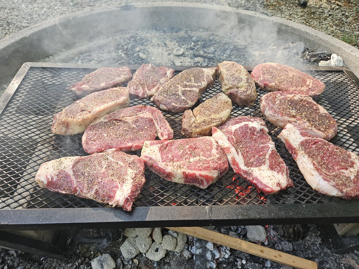 CampCookAlt's tweet photo. Steaks on a campfire! https://t.co/wFvHWX247B