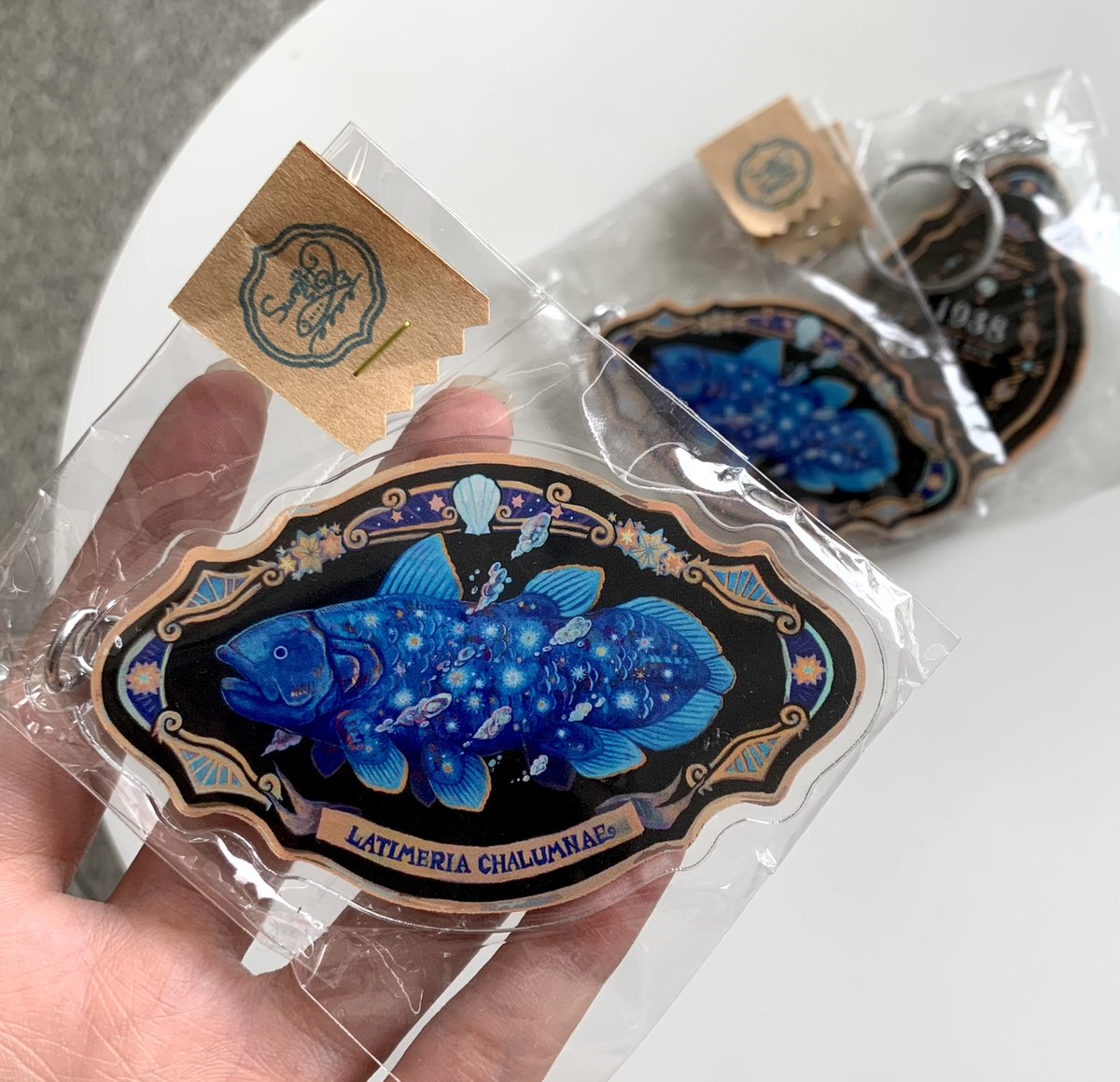 シーラカンスのアクリルキーホルダー🐟 裏面には、初めて生きた姿で