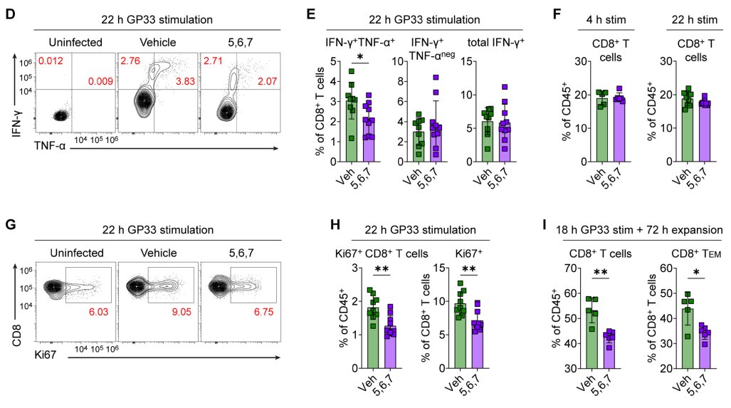 LabWaggoner's tweet photo. @biorxivpreprint ATR kinase inhibitors induce mitochondrial fission in CD8+ T cells and impair immune memory in vivo
https://t.co/ymLcUheB2o https://t.co/t4kOgHQ1w0