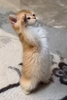 gunxbug's tweet photo. انا أذا جهازي العصبي قال لا تنامي وانخرعي بدون سبب https://t.co/Zwmimo6OsE