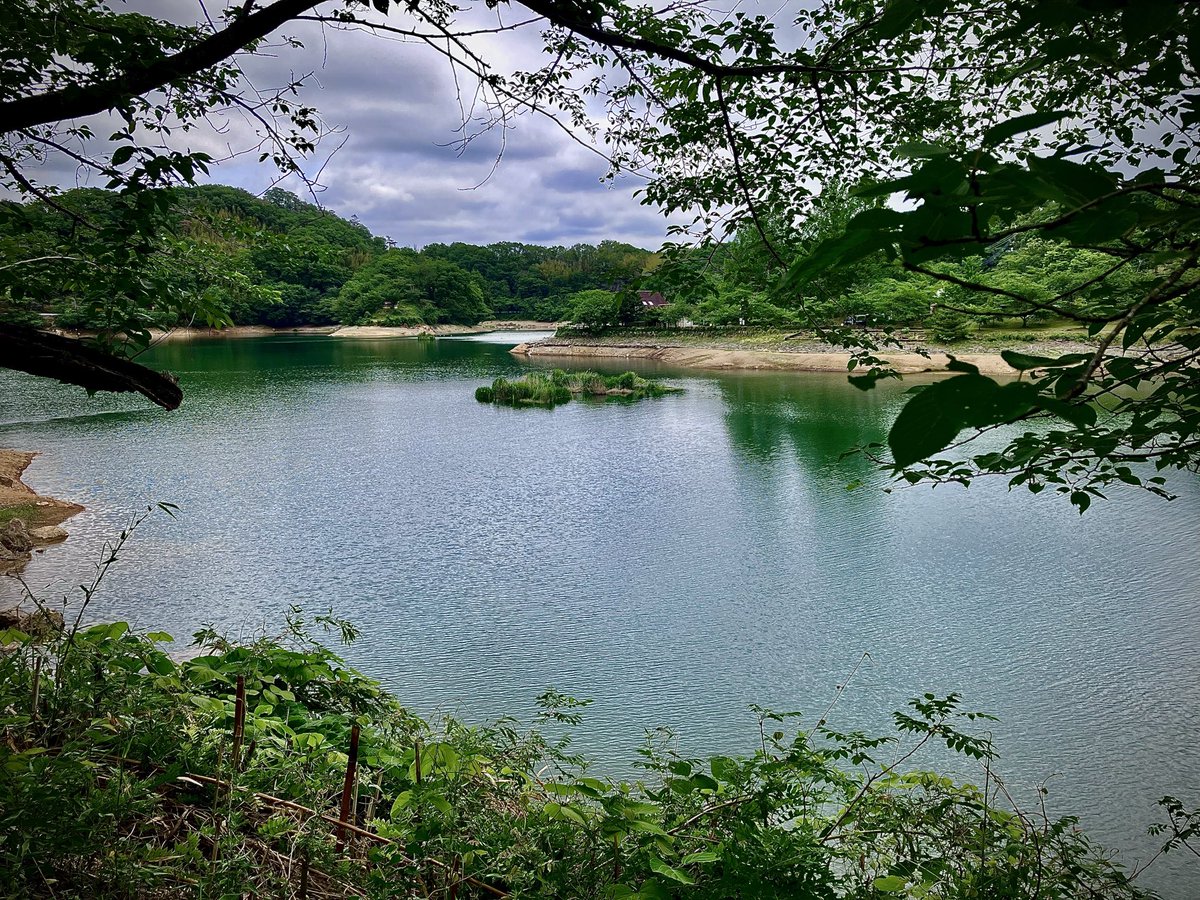 modello_luxury's tweet photo. 市内の大塩湖ですが、3月、4月、5月、6月と徐々に水が溜まって来ています。

2月、3月では貯水率30%を切っていましたが6月に入り60%を超えて70%近くになってます。
これで農業用水にまわせるので田植えが行えますね！😊 https://t.co/EPKpfBeySo